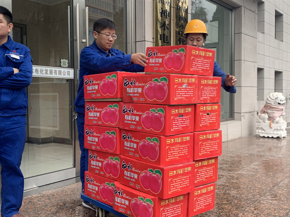 2024年免费资料全集