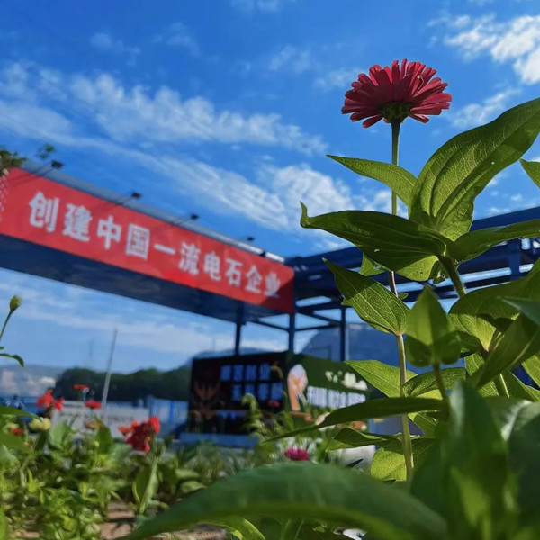 2024年免费资料全集