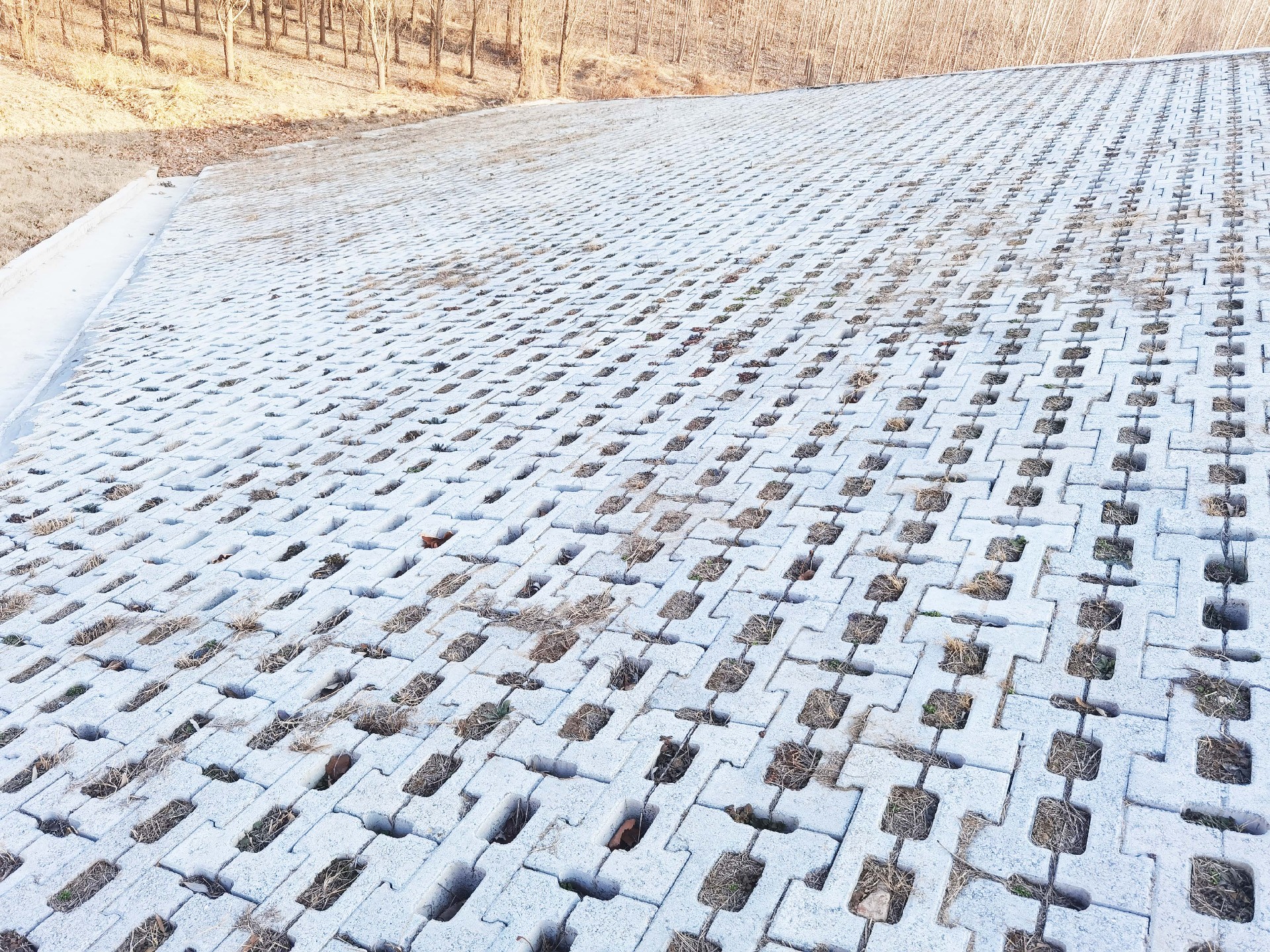 水利护坡砖.jpg 水利护坡砖.jpg