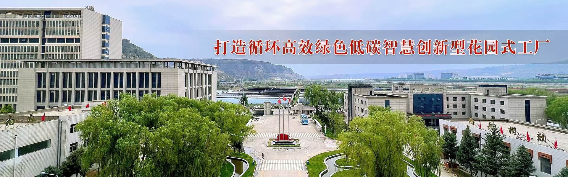2024年免费资料全集