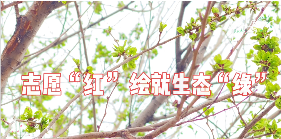 2024年免费资料全集