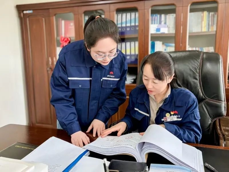 2024年免费资料全集