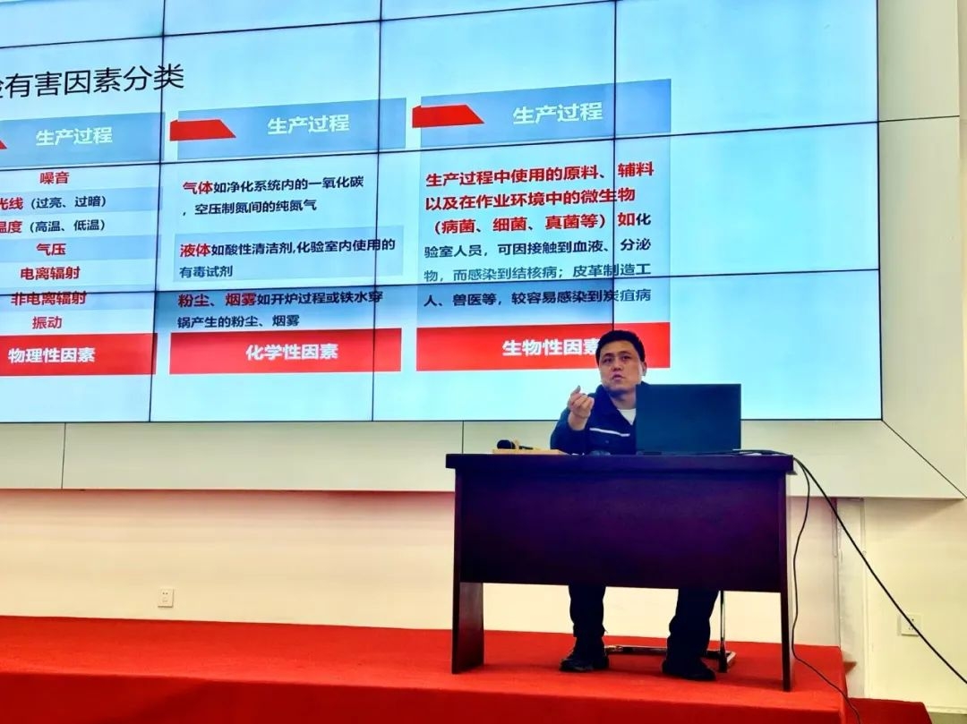 2024年免费资料全集