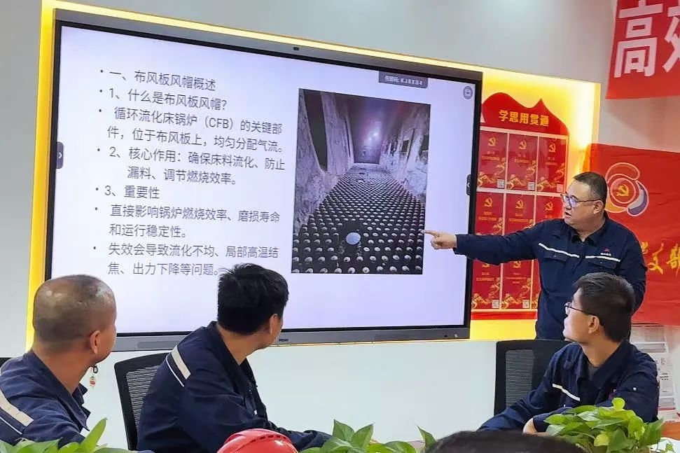 2024年免费资料全集