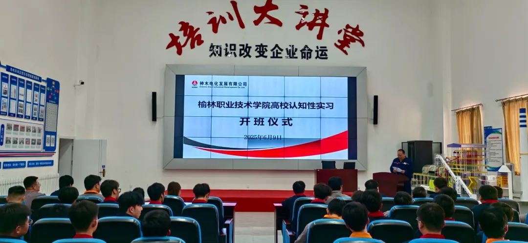 2024年免费资料全集