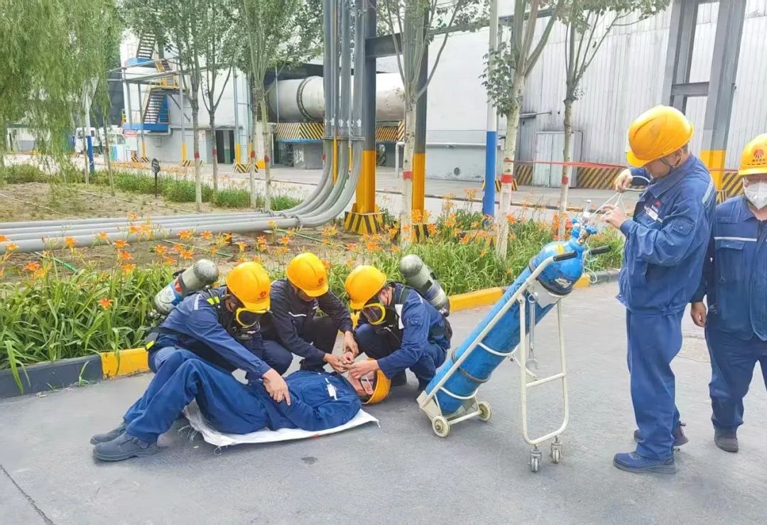 2024年免费资料全集