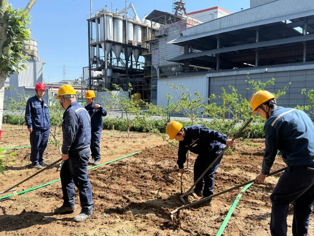 2024年免费资料全集