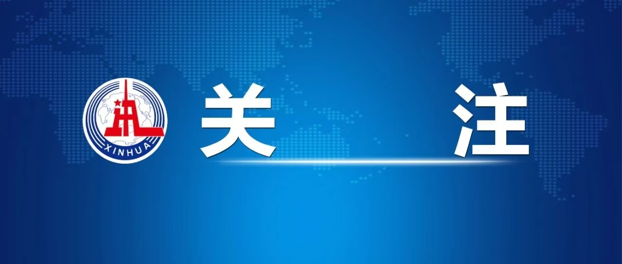 2024年免费资料全集