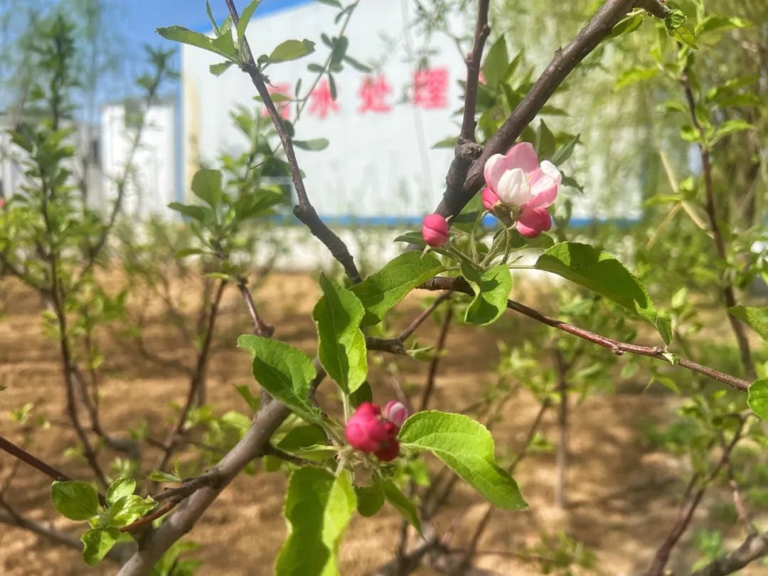 2024年免费资料全集